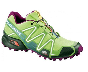 Salomon trail shoe